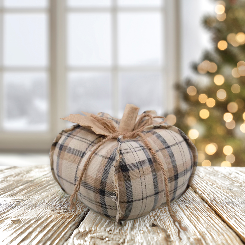 Tabletop Small Size Harvest Pumpkin Home Decor